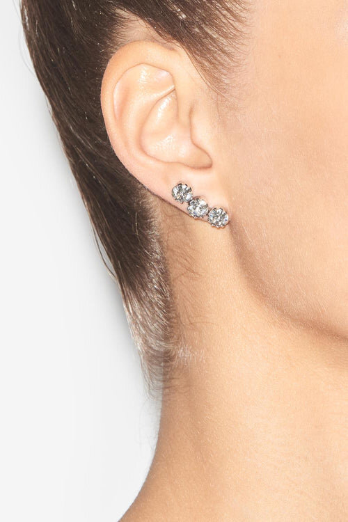 A Wild Shore Earrings A Wild Shore Earrings