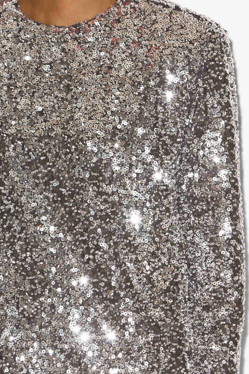 Heliane Straight Sequined Dress Heliane Straight Sequined Dress