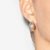 Shiny Crescent Convex Hoop Earrings Shiny Crescent Convex Hoop Earrings